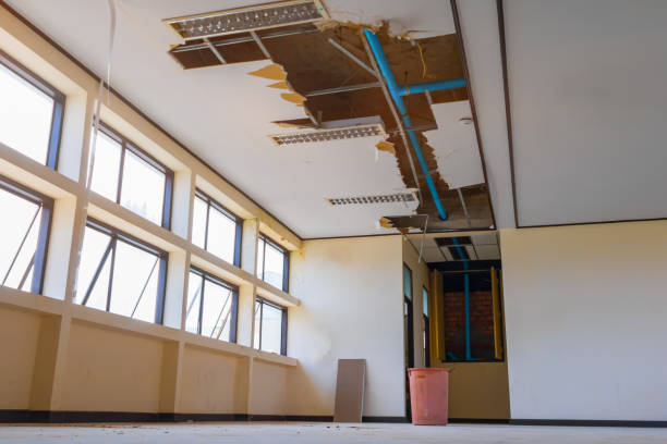 Best Professional water damage repair  in Gooding, ID