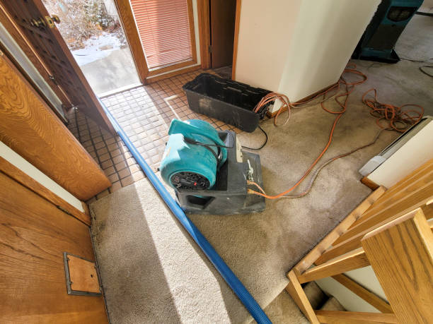 Best 24/7 water damage repair  in Gooding, ID