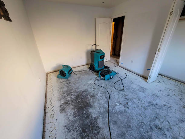 Best Fire Damage Restoration  in Gooding, ID