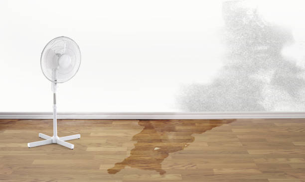 Best Basement water damage restoration  in Gooding, ID