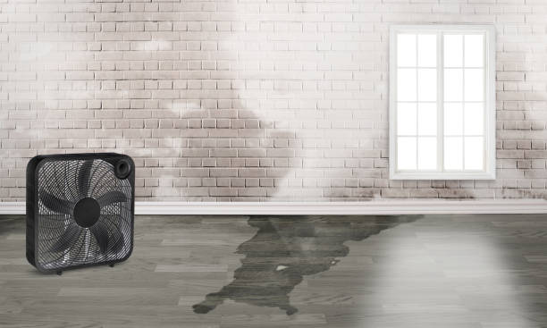 Best Residential water damage restoration  in Gooding, ID
