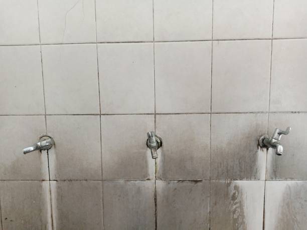 Best Flood restoration services  in Gooding, ID
