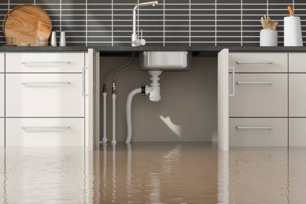 Trusted ID Water damage restoration Experts