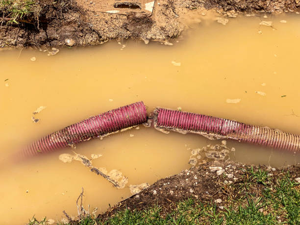 Best Flood damage cleanup  in Gooding, ID